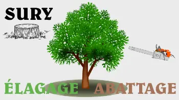 SURYELAGAGE